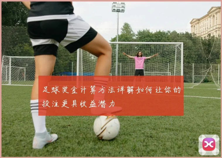 足球奖金计算方法详解如何让你的投注更具收益潜力