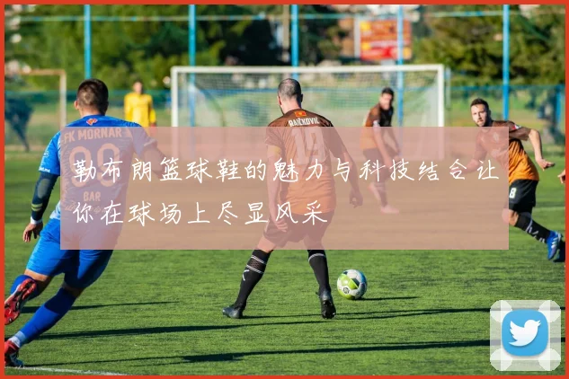 勒布朗篮球鞋的魅力与科技结合让你在球场上尽显风采