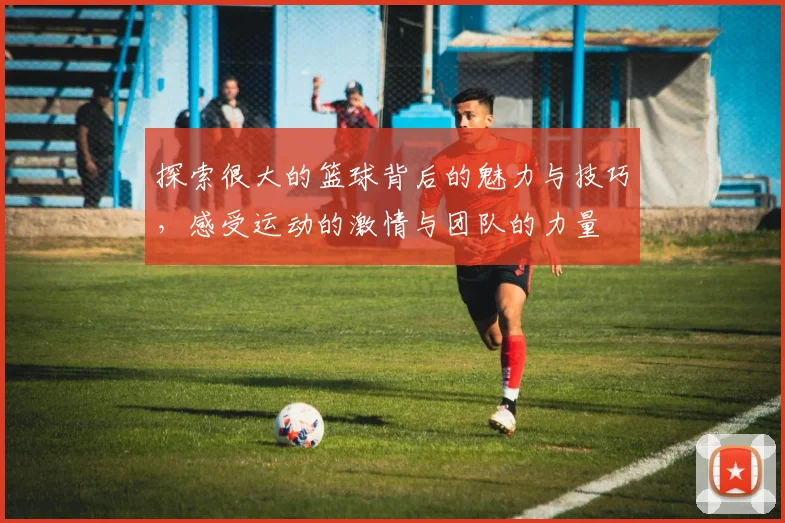 探索很大的篮球背后的魅力与技巧，感受运动的激情与团队的力量